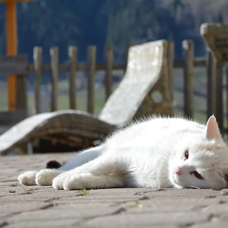 恩特施礼乐农家乐 农家乐 *