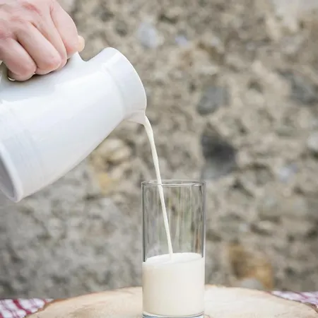 恩特施礼乐农家乐 农家乐 施图拜河谷新施蒂夫特