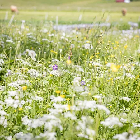 恩特施礼乐农家乐