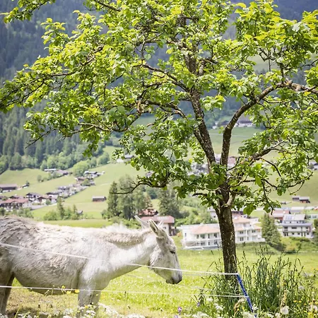 Фермерский дом Untersillerhof *