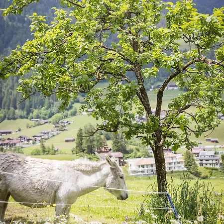 مزرعة للإقامة Untersillerhof *