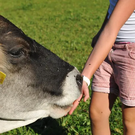 Untersillerhof Gospodarstwo agroturystyczne