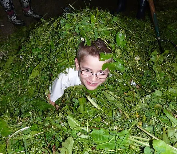 Untersillerhof * نيوستيف ام ستوبيتا