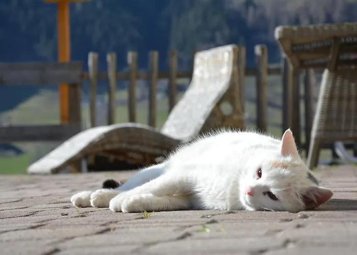 Untersillerhof مزرعة للإقامة *