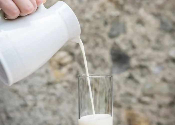 Untersillerhof مزرعة للإقامة نيوستيف ام ستوبيتا